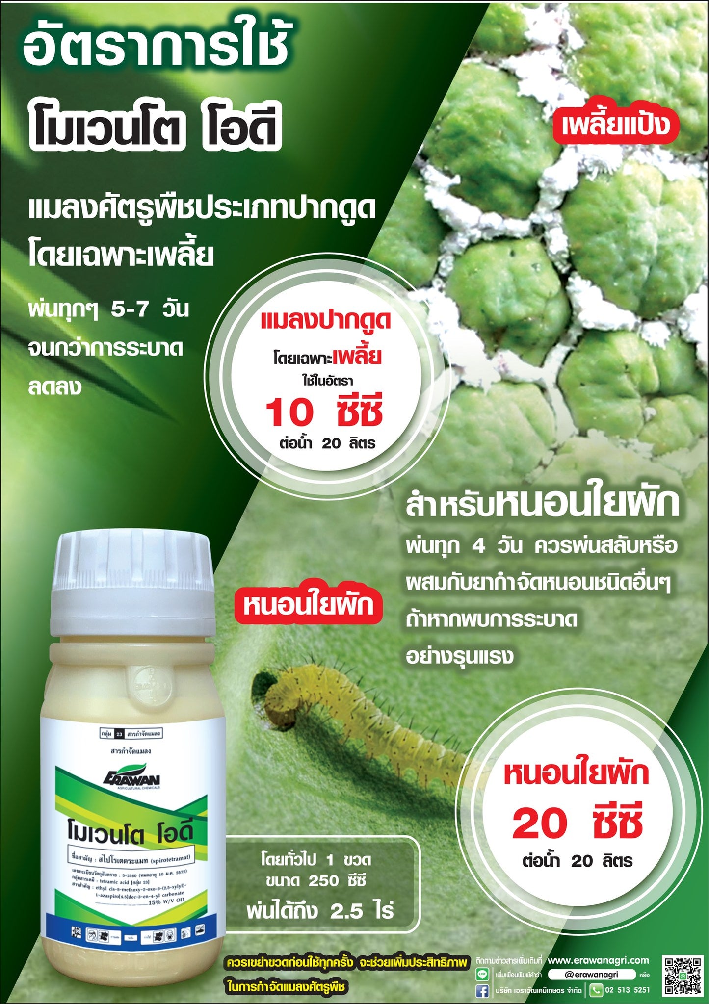 โมเวนโต โอดี ขนาด 250cc