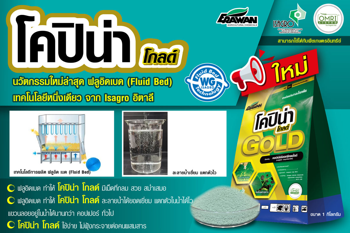 โคปิน่า โกลด์ ขนาด 1 กิโลกรัม