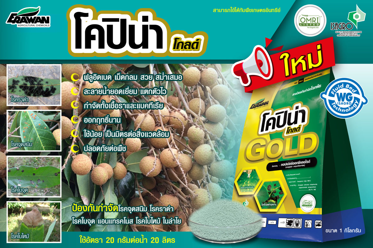 โคปิน่า โกลด์ ขนาด 1 กิโลกรัม