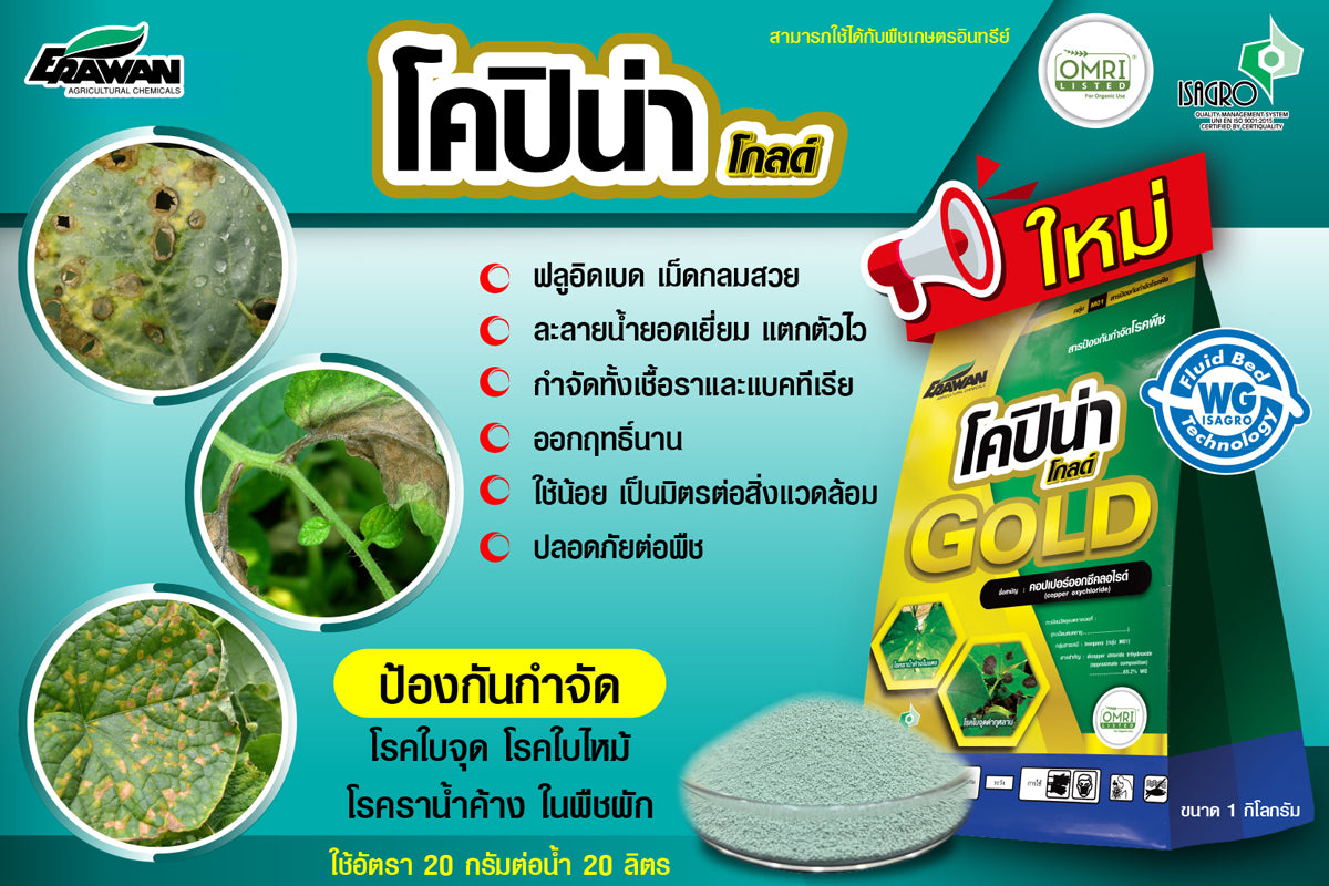 โคปิน่า โกลด์ ขนาด 1 กิโลกรัม