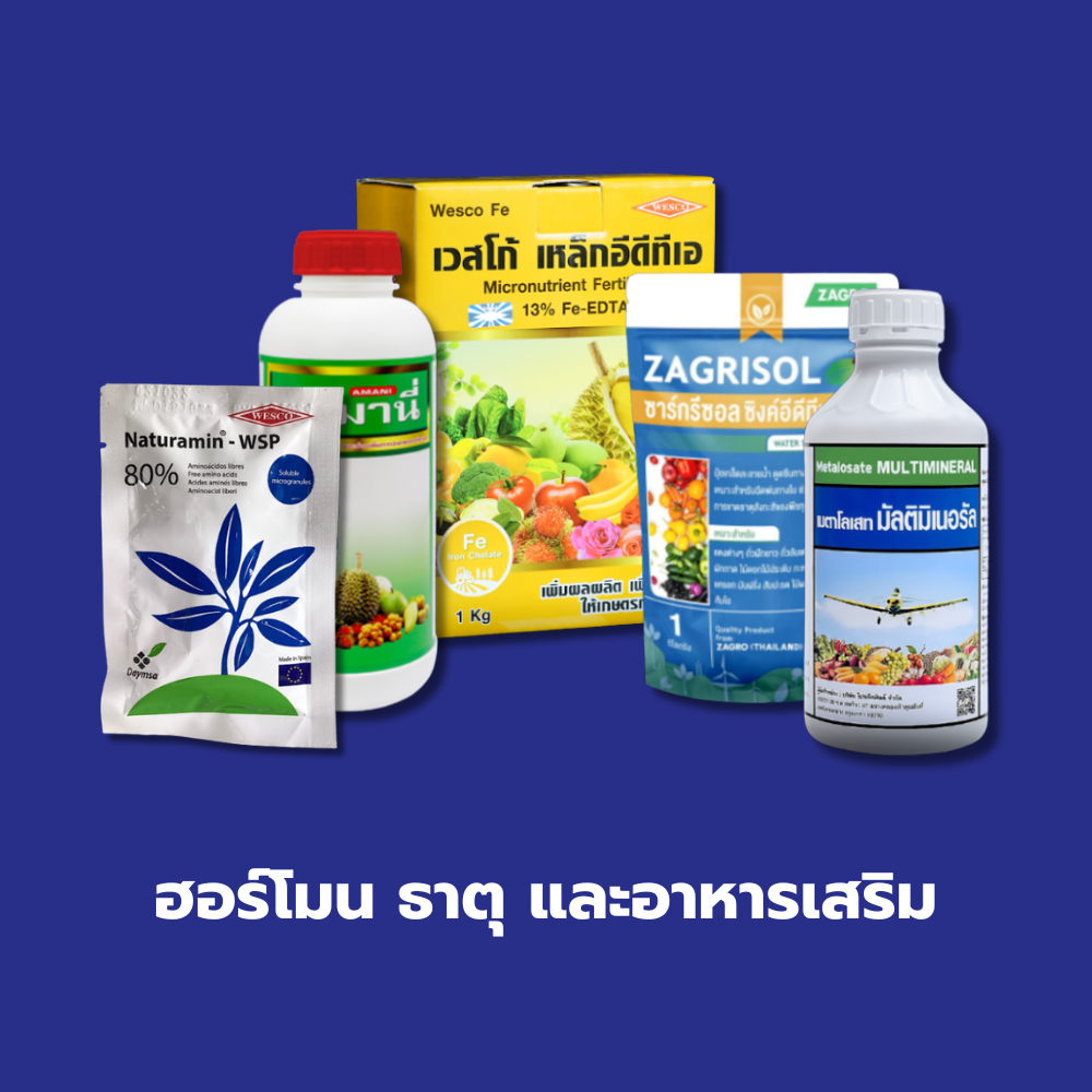ฮอร์โมน ธาตุ และอาหารเสริม