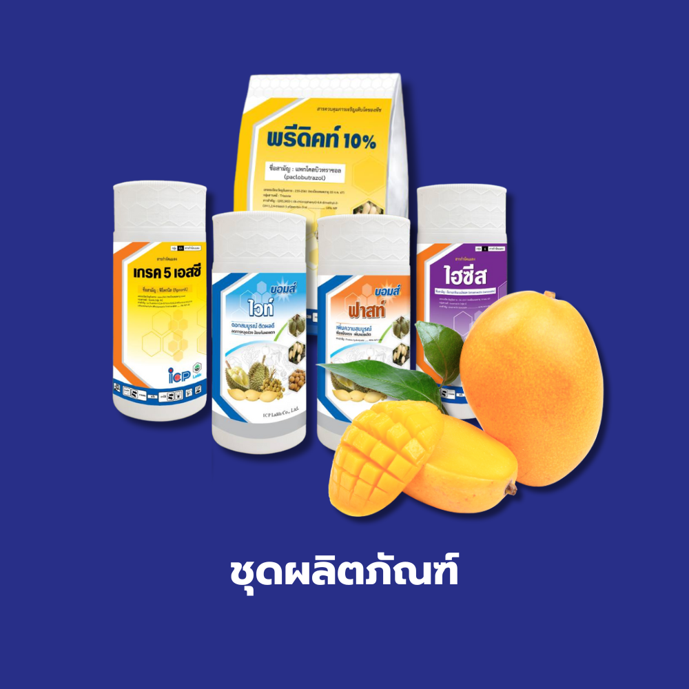 ชุดผลิตภัณฑ์