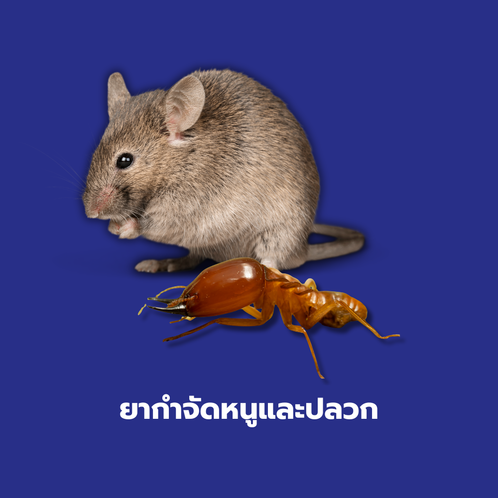 ยากำจัดหนูและปลวก