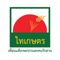 THAIKASET
