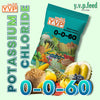 ปุ๋ยเกล็ด 0-0-60 วาย.วี.พี. ขนาด 1 กิโลกรัม