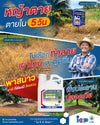 พาสนาว ขนาด 4 ลิตร