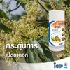 บอมส์ ฟาสท์ ขนาด 1 ลิตร