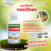 เมตาโลเสท ทรอปปิคอล ขนาด 500cc ธาตุอาหารรอง-เสริม อยู่ในรูปกรดอะมิโนคีเลท