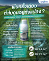 ซิโมดิส ขนาด 250cc