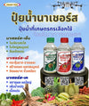 นาเซอร์ส พี-โฟกัส 10-18-4 ขนาด 5 ลิตร