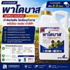 พาโตบาส ขนาด 1 ลิตร