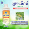 มูฟ-เอ็กซ์ ขนาด 1 ลิตร