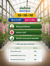 มัลติเทค 16-16-16 haifa ขนาด 25 กิโลกรัม