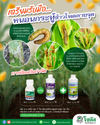 โซเวล ขนาด 1 ลิตร