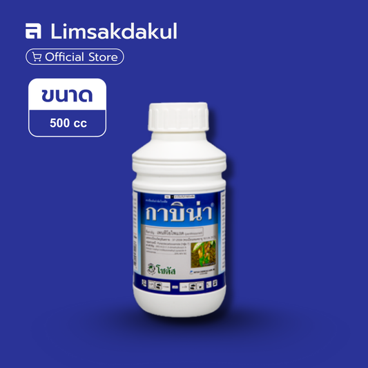 กาบิน่า ขนาด 500cc