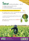 โซเวล ขนาด 1 ลิตร