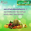 อามานี่ ขนาด 1 ลิตร
