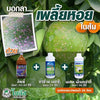 นาปาม เอสซี ขนาด 1 ลิตร