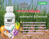 ซิโก้ ขนาด 500