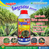 ไดยูรอน 80 ขนาด 1 ลิตร