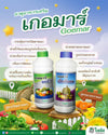 เกอมาร์ พลัส ขนาด 1 ลิตร