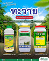 ทะวาย ขนาด 10 กิโลกรัม