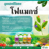 โฟแมกซ์ แคลเซียม โบรอน 400 ขนาด 1  ลิตร