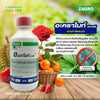 อะคราไมท์48 ขนาด 500cc