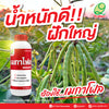 เมกาโฟล ขนาด 1 ลิตร