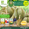 โซลูท ขนาด 30 กรัม