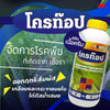 โครท๊อป ขนาด 500cc