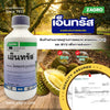 เอ็นทรัส EC ขนาด 100cc