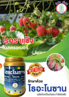 ไธอะโนซาน (ไทแรม) ขนาด 500 กรัม ป้องกันและกำจัดโรคพืช