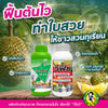 วีฟิช ขนาด 1 ลิตร