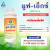 มูฟ-เอ็กซ์ ขนาด 1 ลิตร