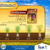 ชุดเขียวพุ่งไว (บอมส์ ซีพลัส 1 ลิตร + บอมส์ ไฮโดรไลซ์ 1 ลิตร)