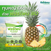 ฟอร์ไพน์ ขนาด 1 กิโลกรัม