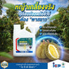 พาสนาว ขนาด 4 ลิตร