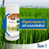 บอมส์ ซิงค์ ขนาด 1 ลิตร