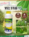 ทะวาย ขนาด 10 กิโลกรัม