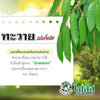 ทะวาย ขนาด 10 กิโลกรัม