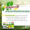 ทะวาย ขนาด 10 กิโลกรัม