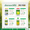 ทะวาย ขนาด 10 กิโลกรัม