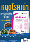 วอร์แรนต์ ขนาด 1 กิโลกรัม