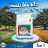 พาสนาว ขนาด 4 ลิตร