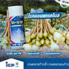 โค-ราซ ขนาด 1 ลิตร