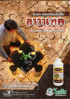 ลาวาเทค ขนาด 1 ลิตร