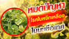 ชุดกำจัด “โรคใบหงิกเหลือง” ในมะเขือเทศ บริษัทโซตัส (โซเวล 1 ลิตร + สตาร์เกิล 1 กก.)