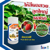 บอมส์ ฟาสท์ ขนาด 1 ลิตร