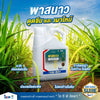 พาสนาว ขนาด 4 ลิตร